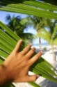 Petit guide de survie dans la jungle de l'e-commerce