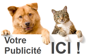 efficacite-bannieres-ecommerce-publicite