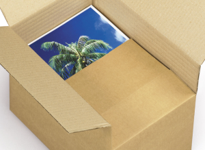Only Boxes, Lot de 25 boîtes en carton pour expédition de colis expéditions  ecommerce, boîte à canal simple renforcée, boîte de rangement, dimensions 25  x 15 x 10 cm : : Fournitures de bureau